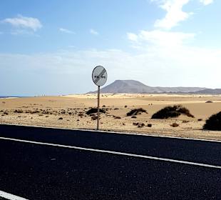 Naturpark Dünen von Corralejo