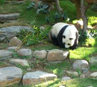 Ocean Park Hong Kong