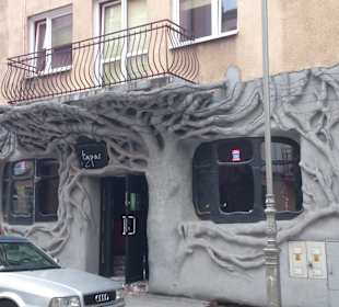 Nietypowy wygląd zewnętrzny 