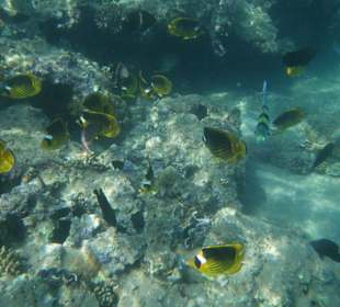 Schnorcheln beim Nachbarhotel