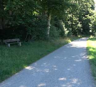 Waldameisen-LehrPfad