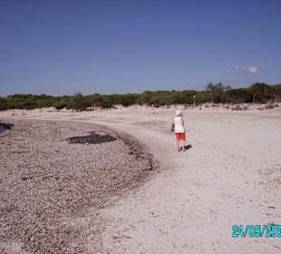 Strandweg zum Es Trenc