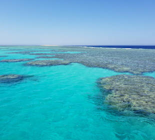 Schnorcheln Makadi Bay