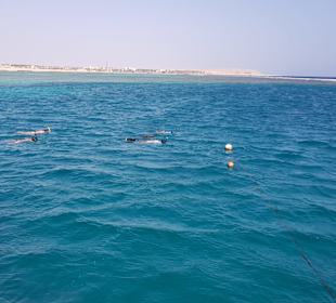 Tauchbasis Extra Divers Marsa Alam