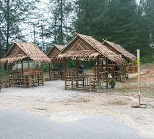 Tree Bar am neuen Platz