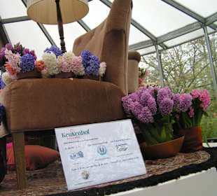 "Tulpen aus Amsterdam"