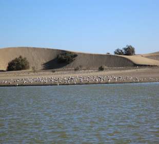 Naturschutzgebiet (Maspalomas)