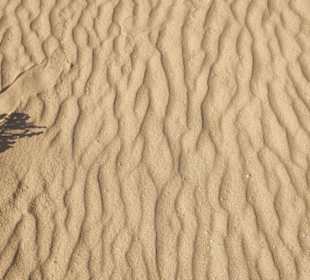 Dünnen von Corralejo 
