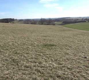 Schanze des Spanischen Erbfolgekriegs bei Willmand