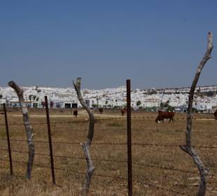 Strand Conil de la Frontera