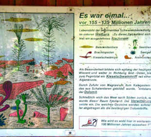 Wanderung zum Bärenfels