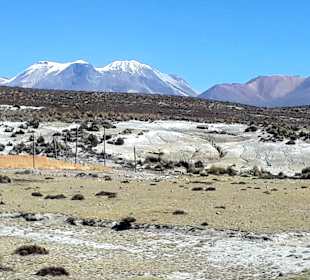 Ausblick vom Restaurant