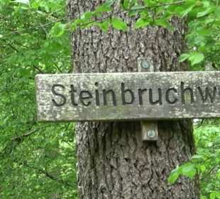 Naturpark Schönbuch