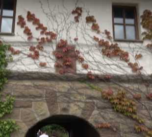 Erlebnispark Tripsdrill