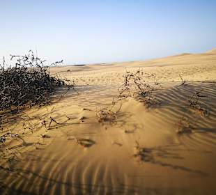 Dünen von Maspalomas