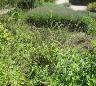 Kurpark Bad Bergzabern