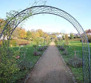 Magdalengarten Rosenbogen