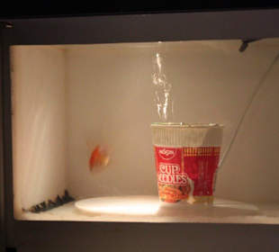 Mirkroherd als Aquarium