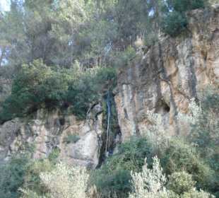 La Reseva - Parc de Natural