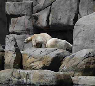 Tierpark Hagenbeck