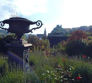 Ausblick Stadtgarten