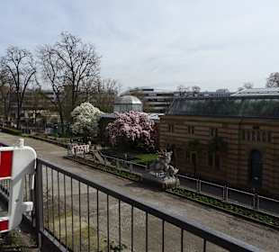 Wilhelma Stuttgart
