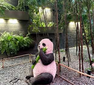 Jewel Changi Airport