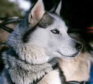 Wandern San Martino in Badia