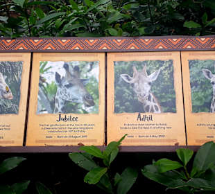 Singapur Zoo