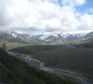 Denali National Park
