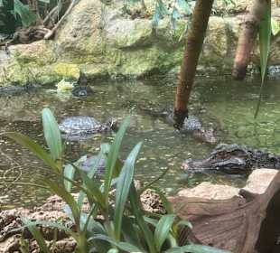 Tiergarten Straubing