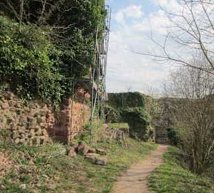 Schöne Burgruine Drachenfels