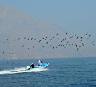 Musandam 