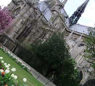 Собор парижской богоматери