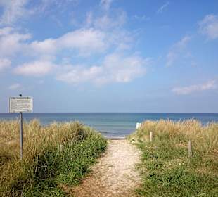 Strand Dierhagen