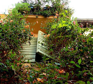 Altstadt von Collioure
