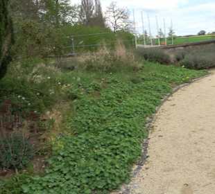 Schloss ob Ellwangen