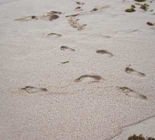 Strand im South Shore Park