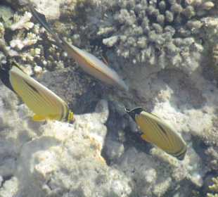 Фото с пирса