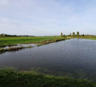 Impressionen von der Weserinsel Harriersand