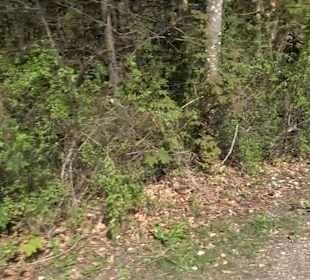 Naturerlebnisweg des NABU-Metzingen