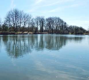Teichanlage im Schloßpark