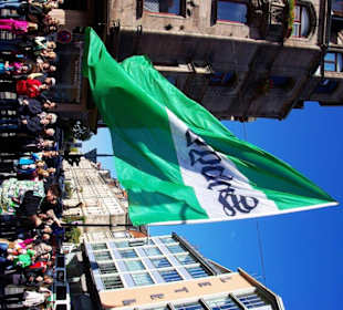 Spielvereinigung Greuther Fürth mit Profi-Spieler