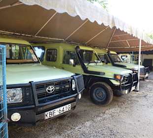 Ein Teil der Flotte von DM Tours