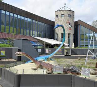 In der Urzeit-Ausstellung des Natureums