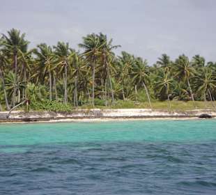 Saona