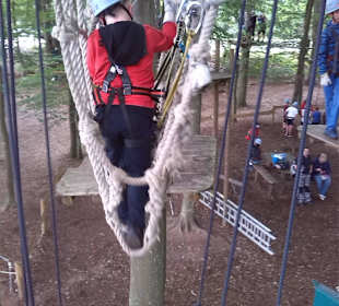 Fun Forest AbenteuerPark Homburg in Homburg