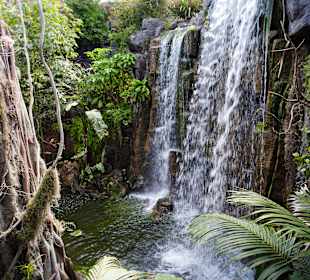 La Jungla - Palma Aquarium