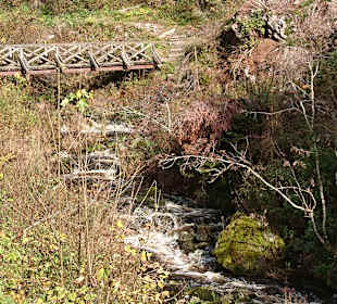 Wandern Hinterzarten