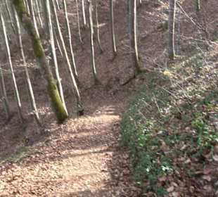 Premiumwanderweg Hohenwittlingensteig